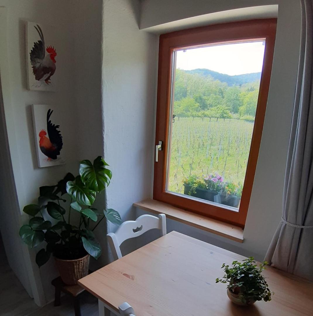Dandelion Bed & Breakfast Ribeauvillé Extérieur photo